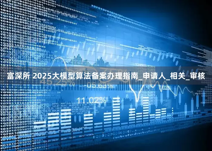 富深所 2025大模型算法备案办理指南_申请人_相关_审核