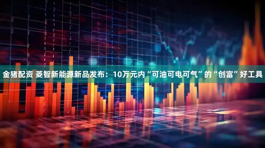 金猪配资 菱智新能源新品发布：10万元内“可油可电可气”的“创富”好工具