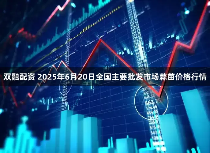 双融配资 2025年6月20日全国主要批发市场蒜苗价格行情