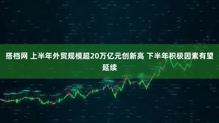 搭档网 上半年外贸规模超20万亿元创新高 下半年积极因素有望延续