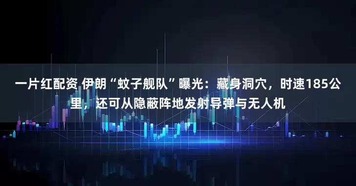 一片红配资 伊朗“蚊子舰队”曝光：藏身洞穴，时速185公里，还可从隐蔽阵地发射导弹与无人机